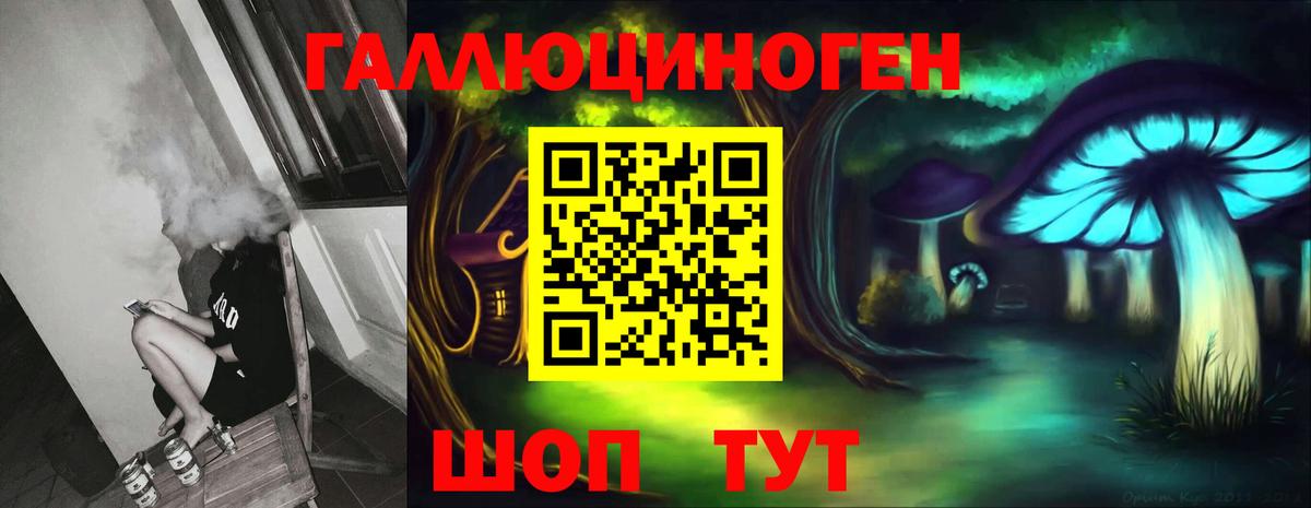 Малоярославец  Галлюциногенные грибы MAGIC MUSHROOMS  где продают наркотики  Вход с VPN  Псилоцибиновые грибы мицелий 