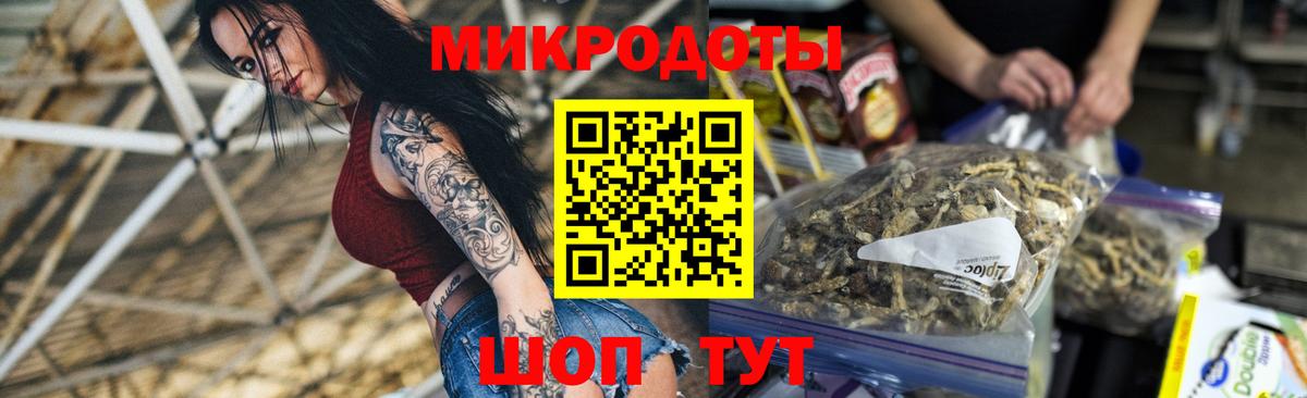 Галлюциногенные грибы Psilocybine cubensis Малоярославец